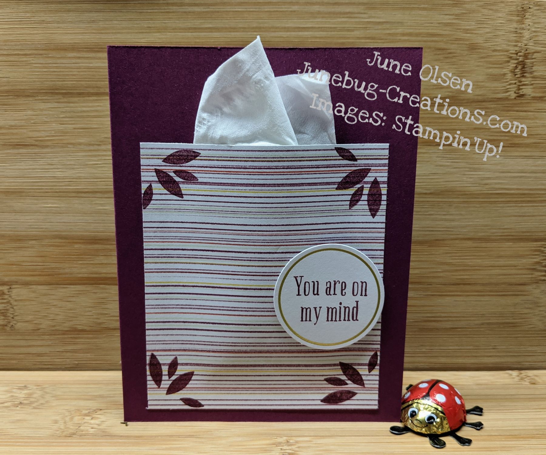 Junebug-Creations-Beary-Comforting-Paper-Pumpkin-Kit-alternate-with-kleenex-box-front-card