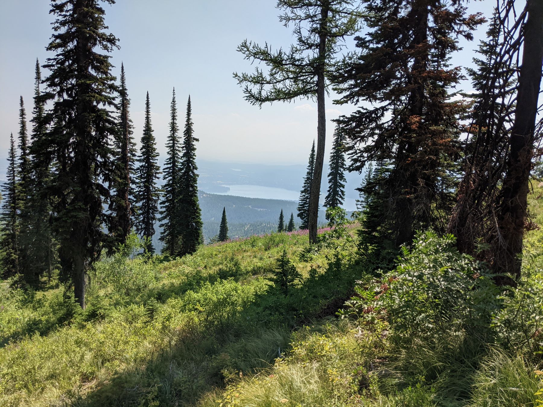 View from Big Mountain in Whitefish, MT